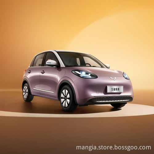 New energy car Wuling bingo EV hot selling 2023 high quality 4-wheel electric car for sale